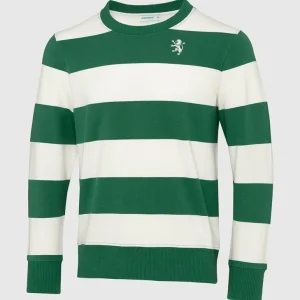 Sweatshirt DNA Stripes Leão - Menina